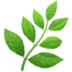 Aromatic Aromatic